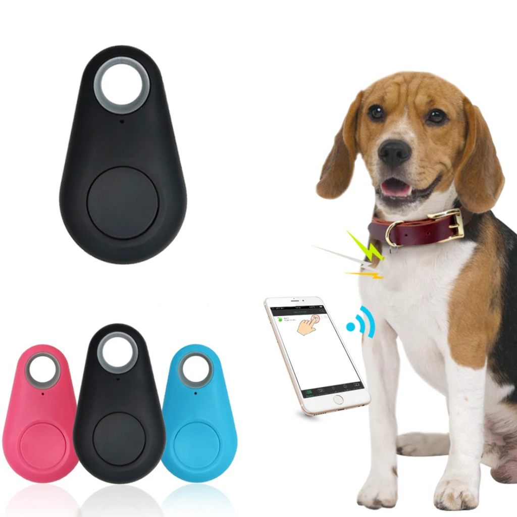 SafeTrack | Localizador GPS con Seguimiento en Vivo para Niños, Mascotas y Objetos de Valor