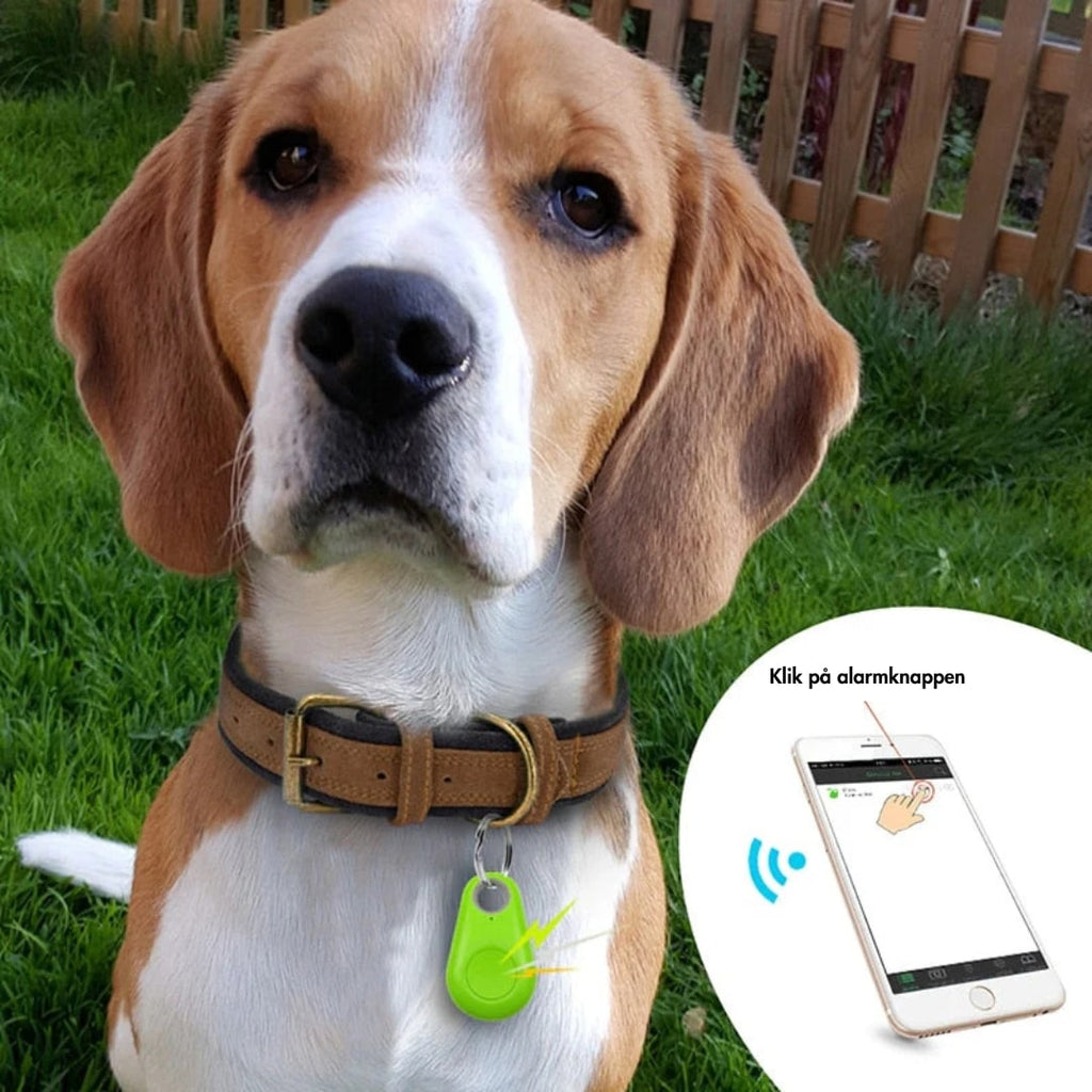 SafeTrack | Localizador GPS con Seguimiento en Vivo para Niños, Mascotas y Objetos de Valor