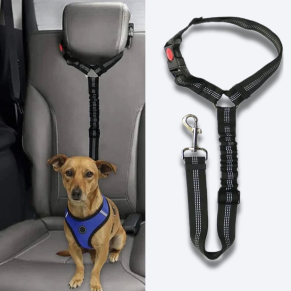 SecureRider • Cinturón de Seguridad para Perros