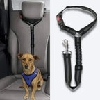 SecureRider • Cinturón de Seguridad para Perros