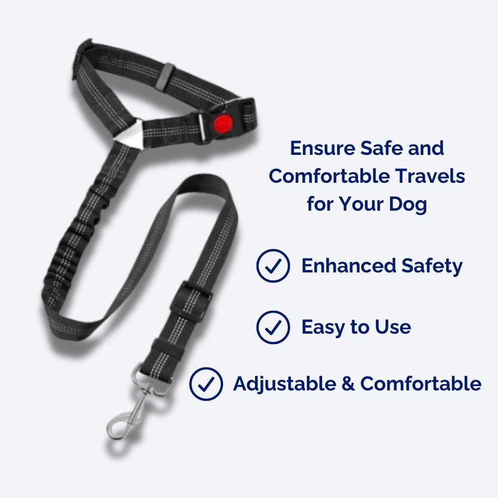 SecureRider • Cinturón de Seguridad para Perros