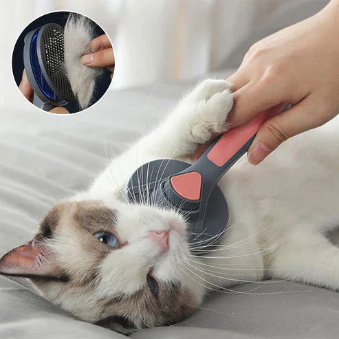 Cepillo autolimpiante para el cuidado de mascotas
