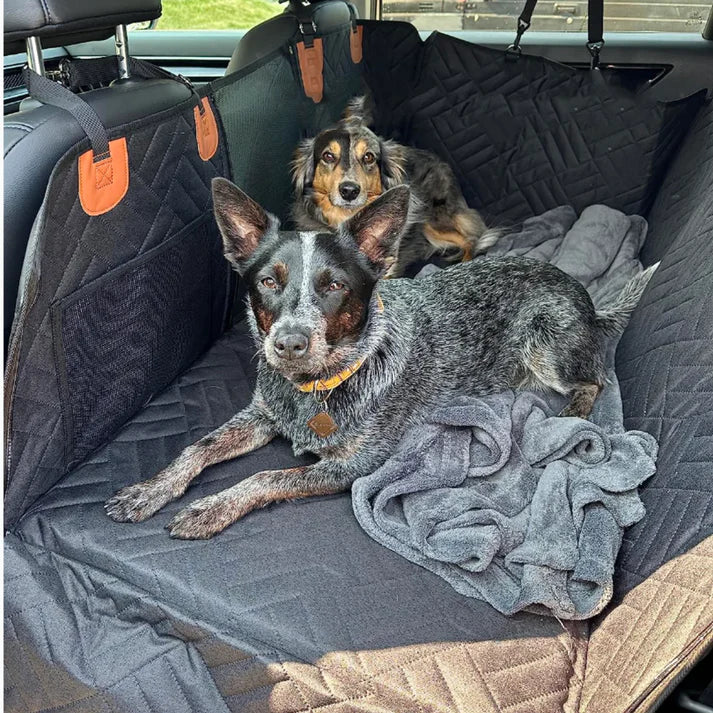 ComfortCarrier | Donde la protección del automóvil y la comodidad para tu perro se encuentran | +Correa de perro segura