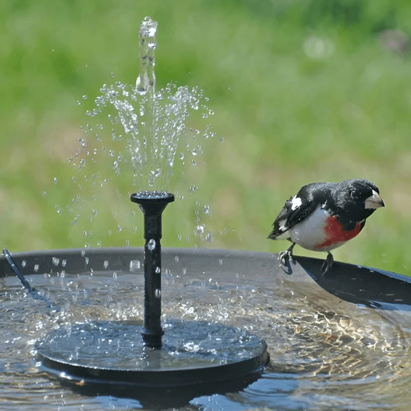Bomba de Fuente Solar para Jardín