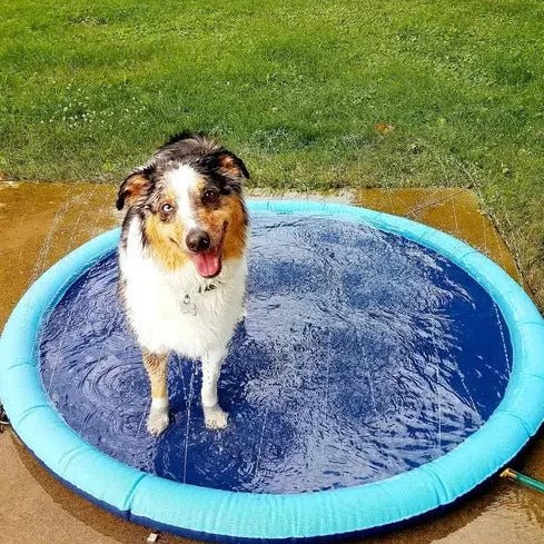 SplashyPaws • Alfombra Splash