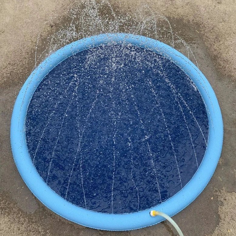 SplashyPaws • Alfombra Splash