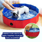 SplashZone • Piscina para Perros