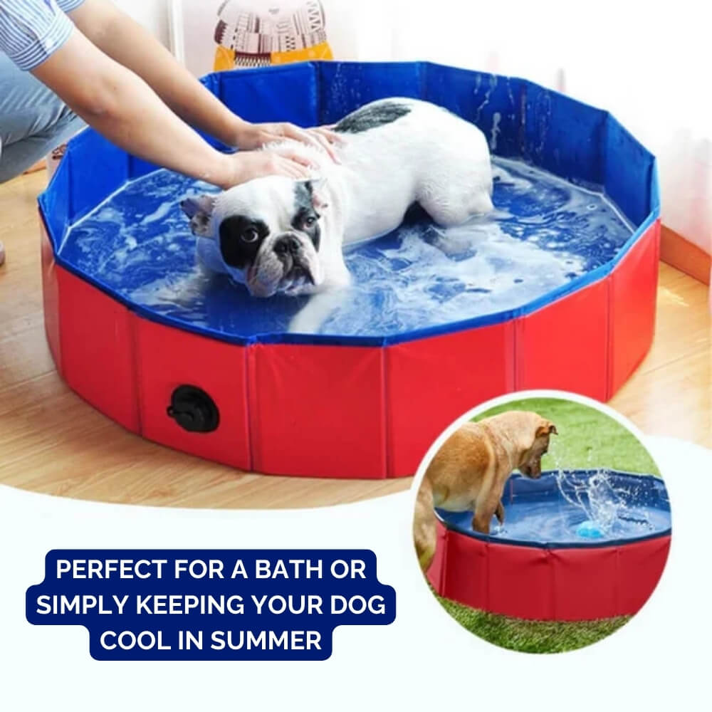 SplashZone • Piscina para Perros