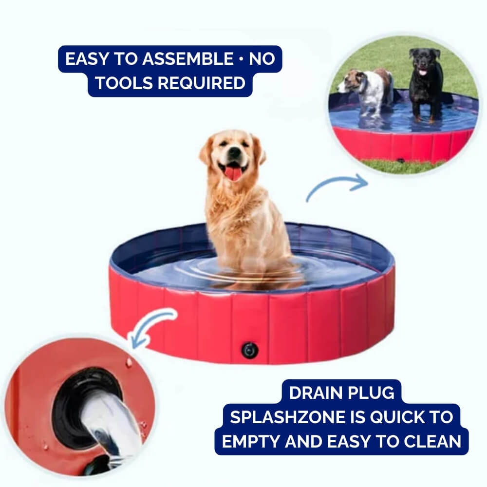 SplashZone • Piscina para Perros