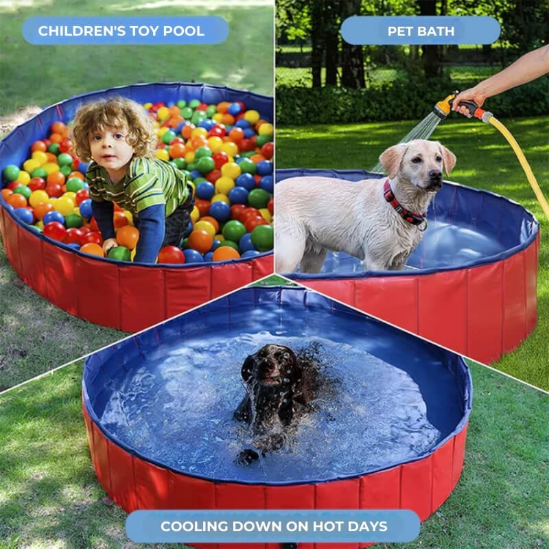 SplashZone • Piscina para Perros