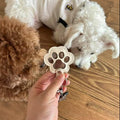 PawEver™ – Llavero de cuero con recuerdo | 1+2 GRATIS