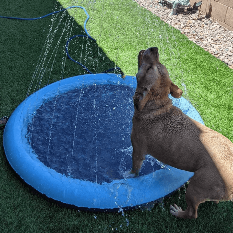 Alfombrilla de aspersión para perros – ¡Refresca y juega en el calor del verano!