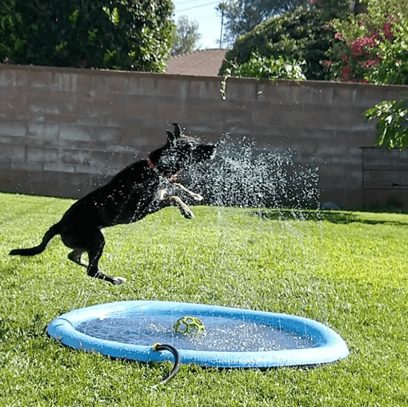 Alfombrilla de aspersión para perros – ¡Refresca y juega en el calor del verano!