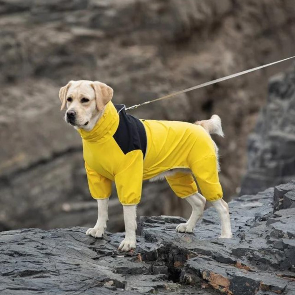 StormGuard • Impermeable para Perros