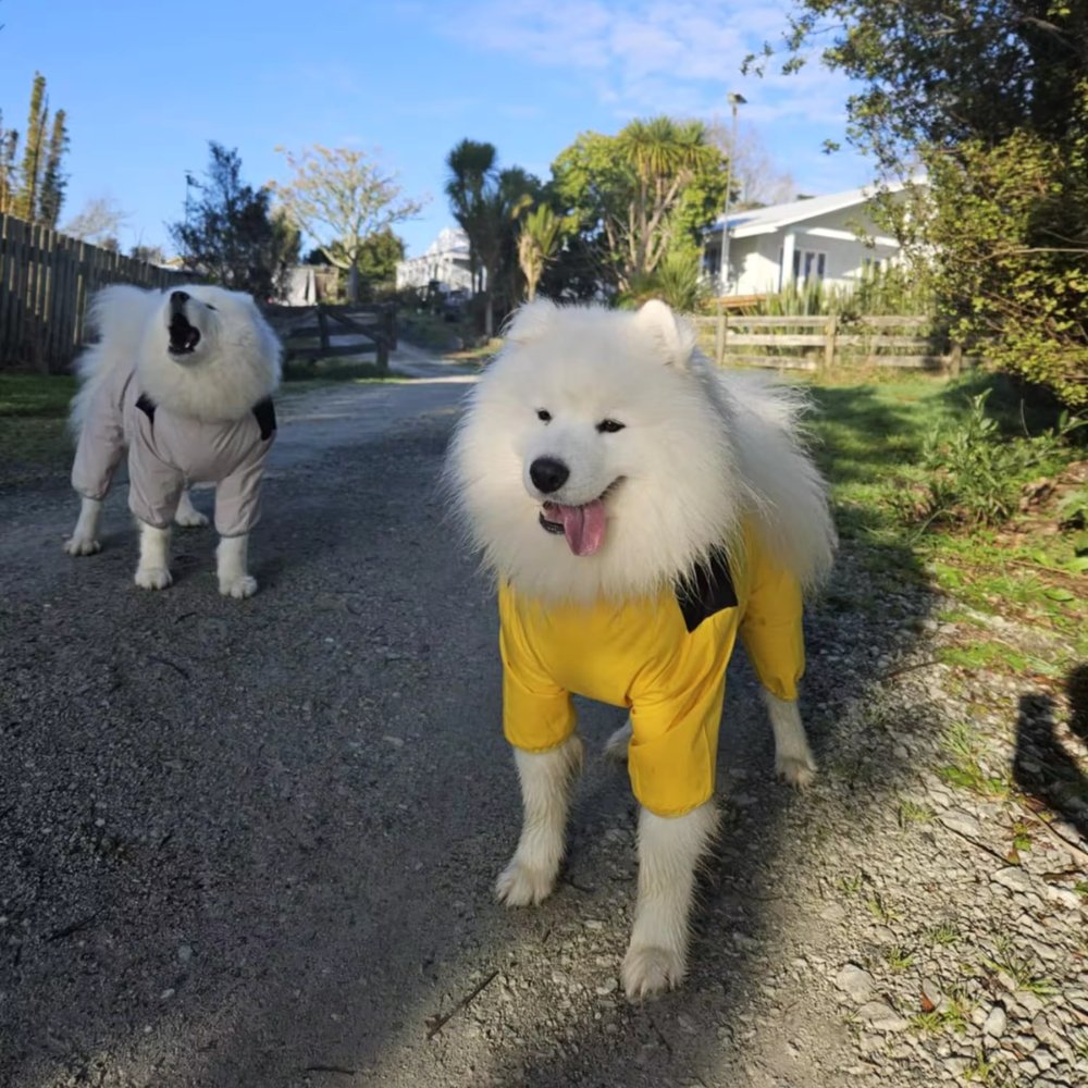 StormGuard • Impermeable para Perros