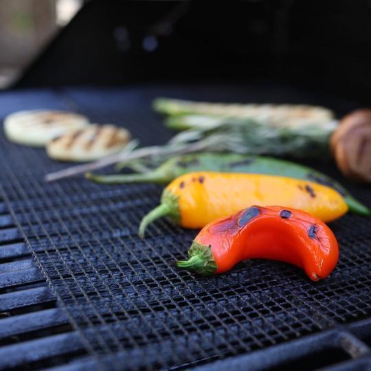 Red de parrilla para BBQ Cocción al aire libre y camping
