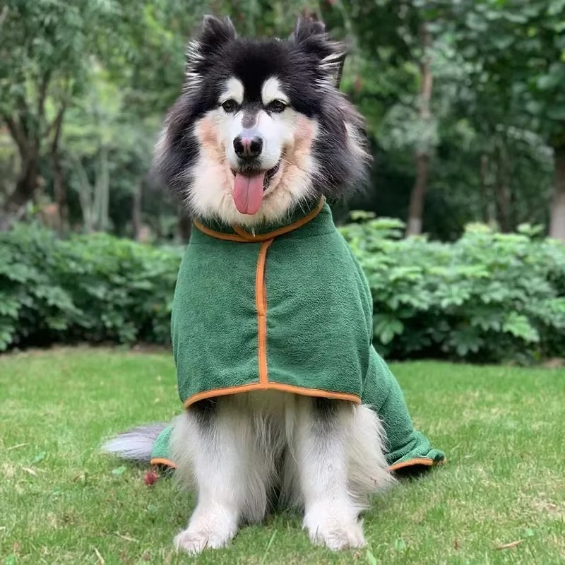 Bañador absorbente para perro