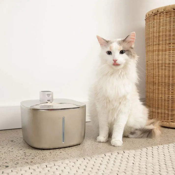 Fuente de agua para gatos de acero inoxidable