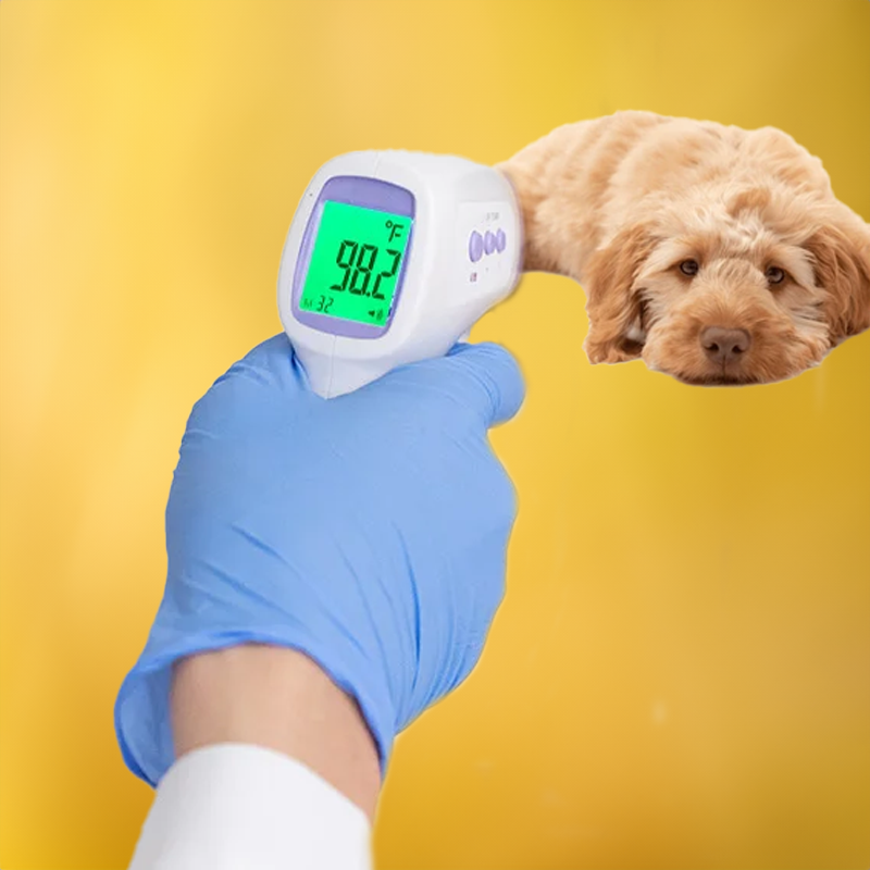 Termómetro para Perros Sin Contacto con Lectura de Un Clic