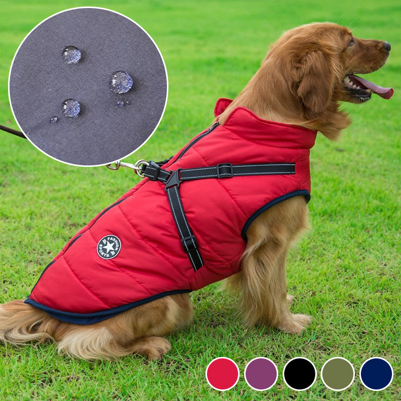 Chaqueta impermeable para perros - Cinturón reflectante | Varios colores y tamaños