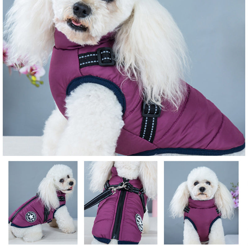Chaqueta impermeable para perros - Cinturón reflectante | Varios colores y tamaños