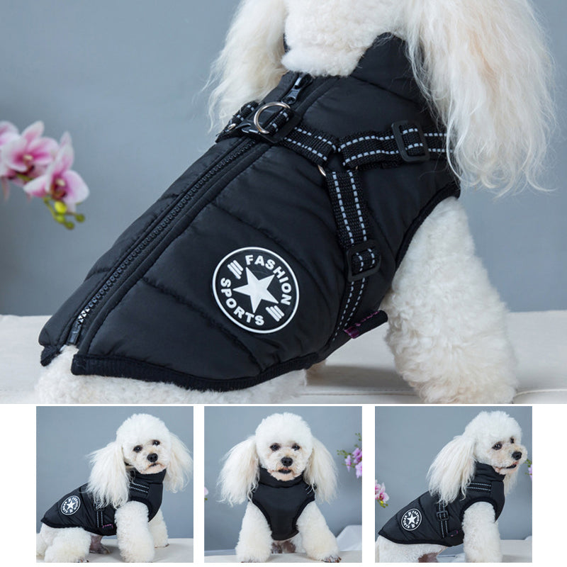 Chaqueta impermeable para perros - Cinturón reflectante | Varios colores y tamaños