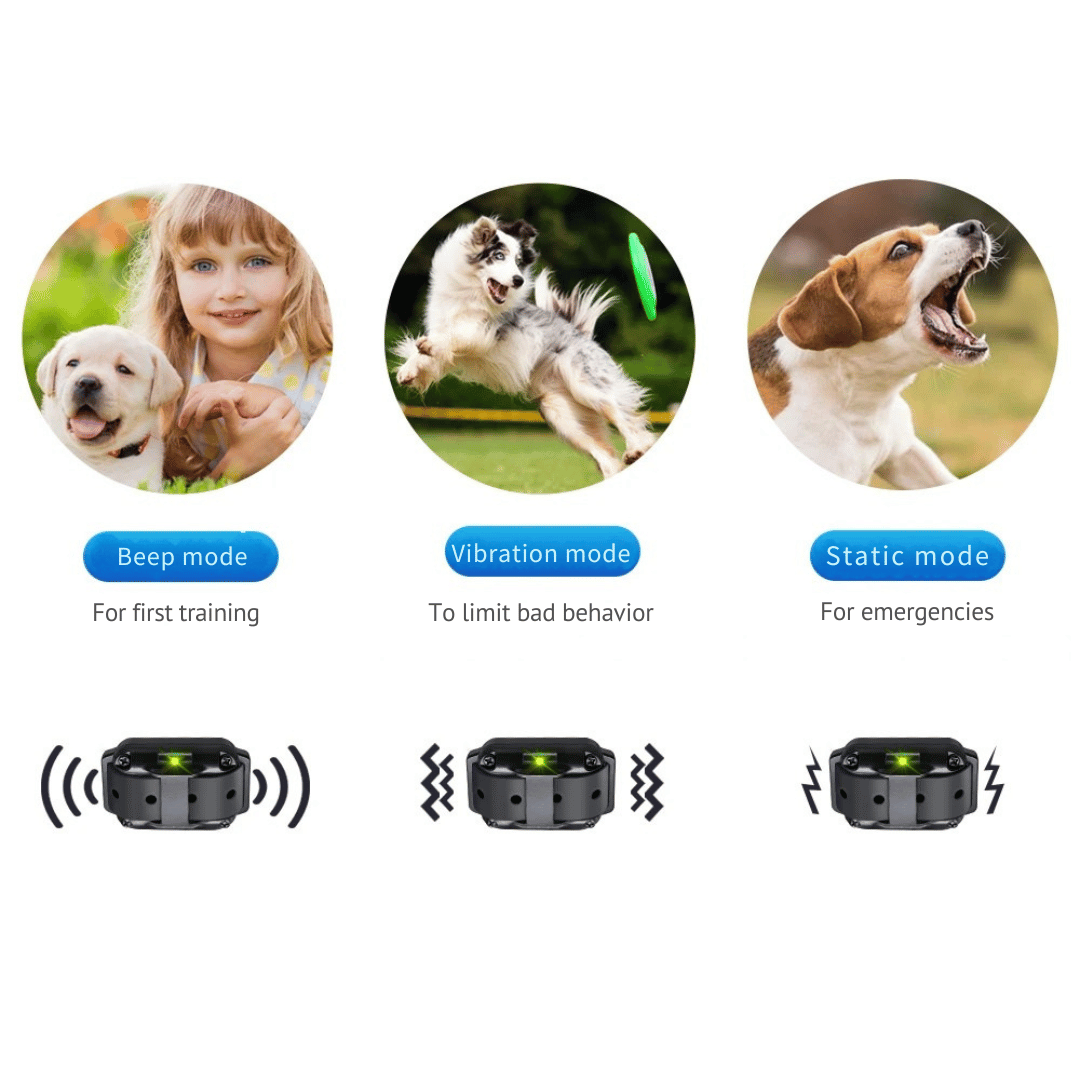 Collar de Adiestramiento para Perros Impermeable con Control Remoto (800m)