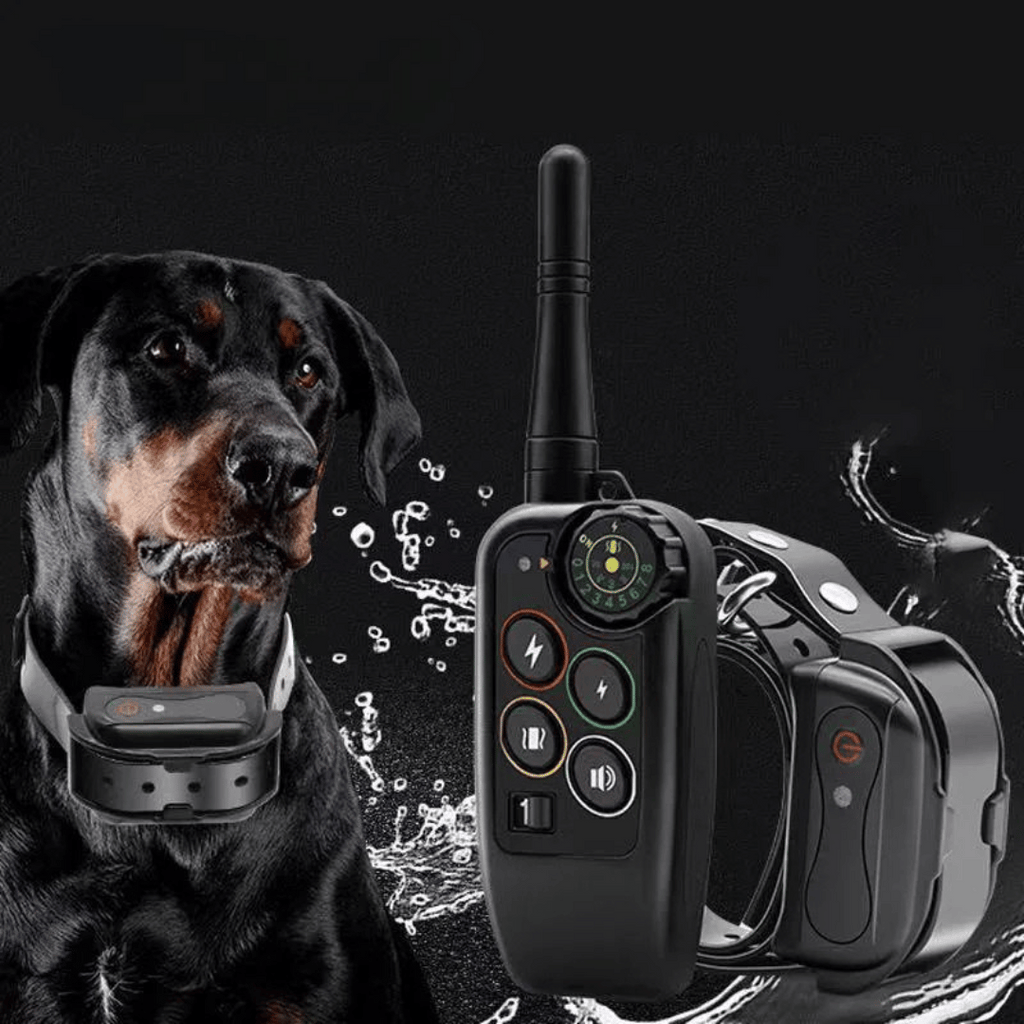 Collar E de Entrenamiento para Perros Impermeable de Largo Alcance 1000m & Control Remoto