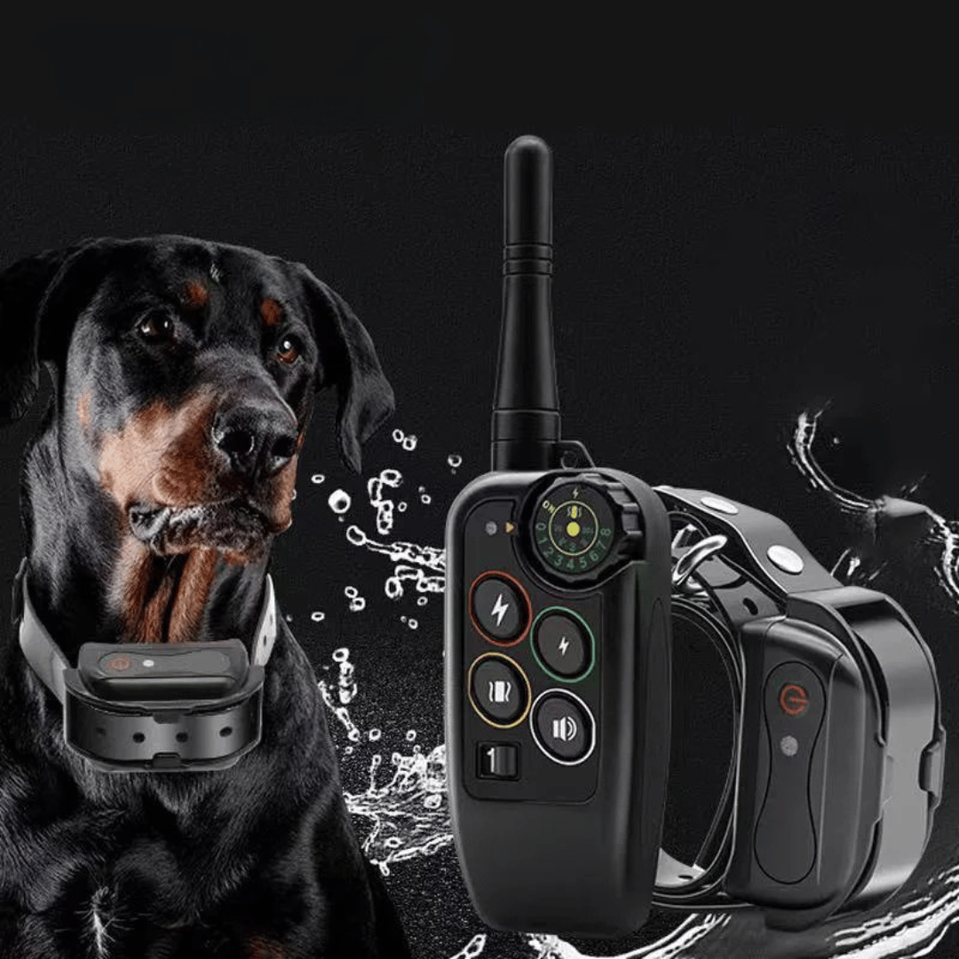 Collar E de Entrenamiento para Perros Impermeable de Largo Alcance 1000m & Control Remoto
