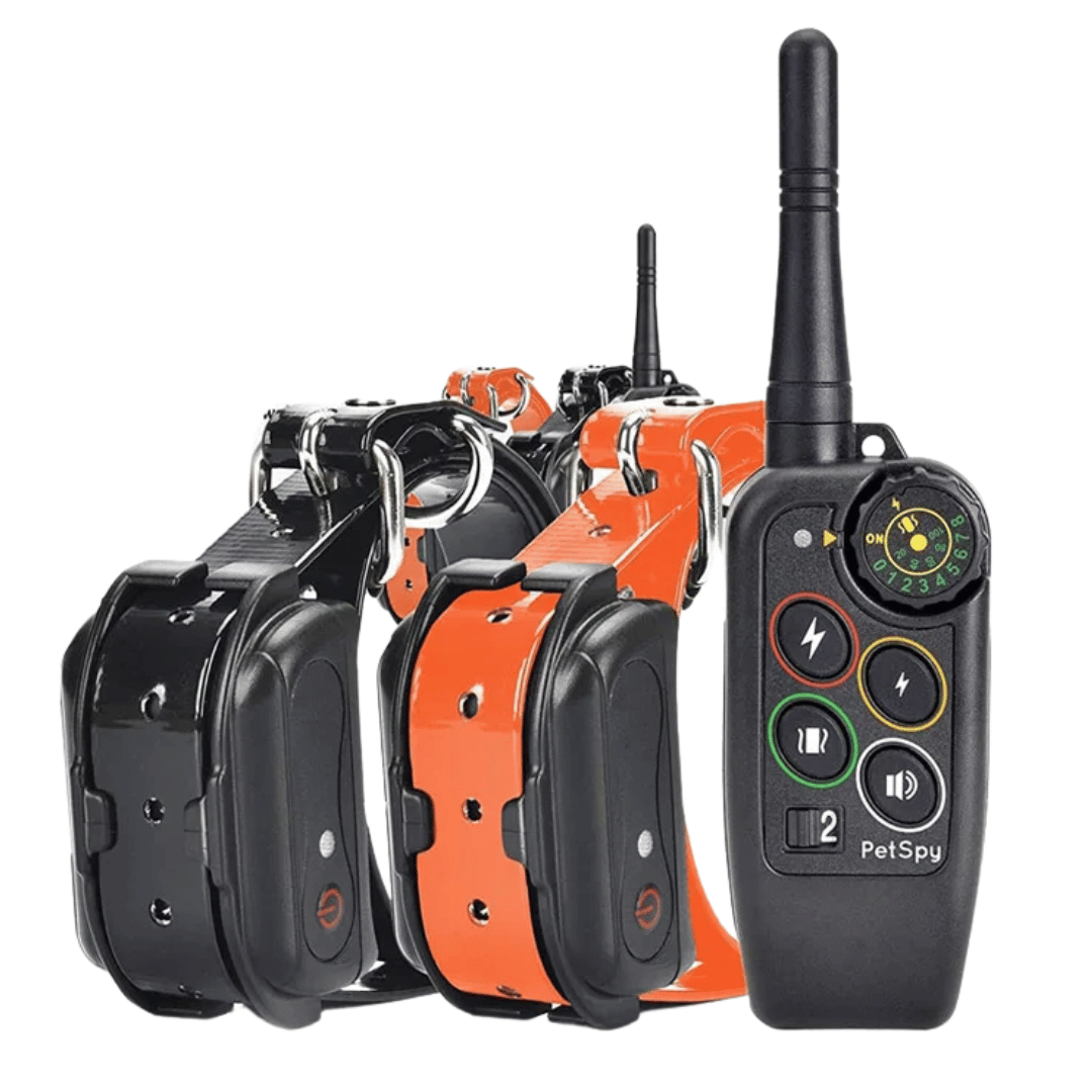 Collar E de Entrenamiento para Perros Impermeable de Largo Alcance 1000m & Control Remoto