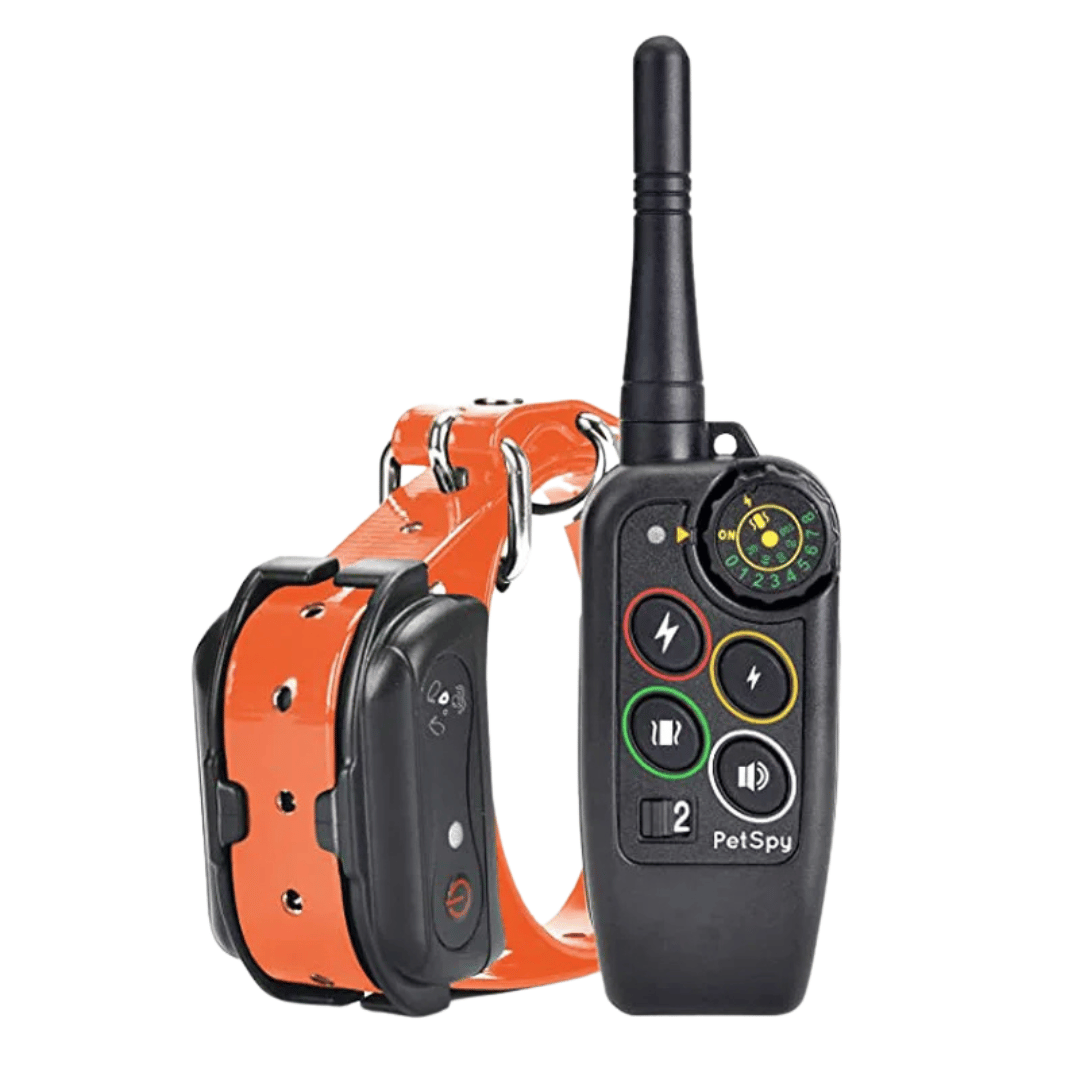 Collar E de Entrenamiento para Perros Impermeable de Largo Alcance 1000m & Control Remoto