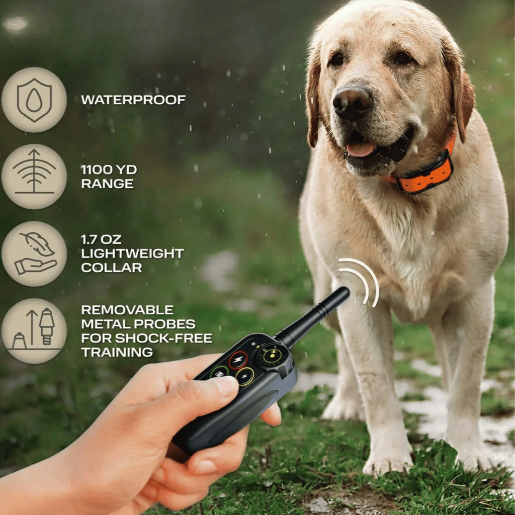 Collar E de Entrenamiento para Perros Impermeable de Largo Alcance 1000m & Control Remoto