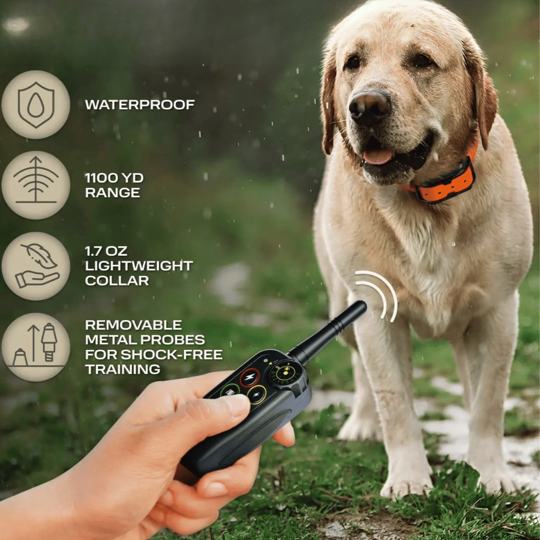 Collar E de Entrenamiento para Perros Impermeable de Largo Alcance 1000m & Control Remoto