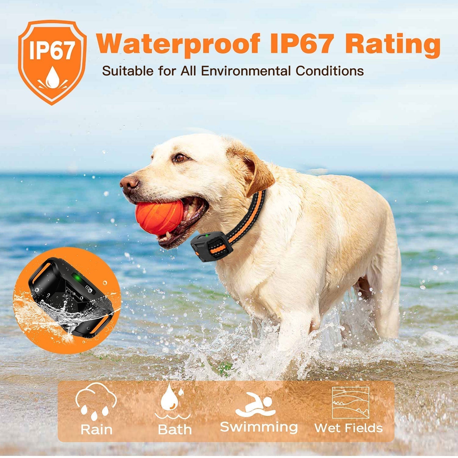 Collar Electrónico de Entrenamiento para Perros Impermeable 3300Ft con Control Remoto