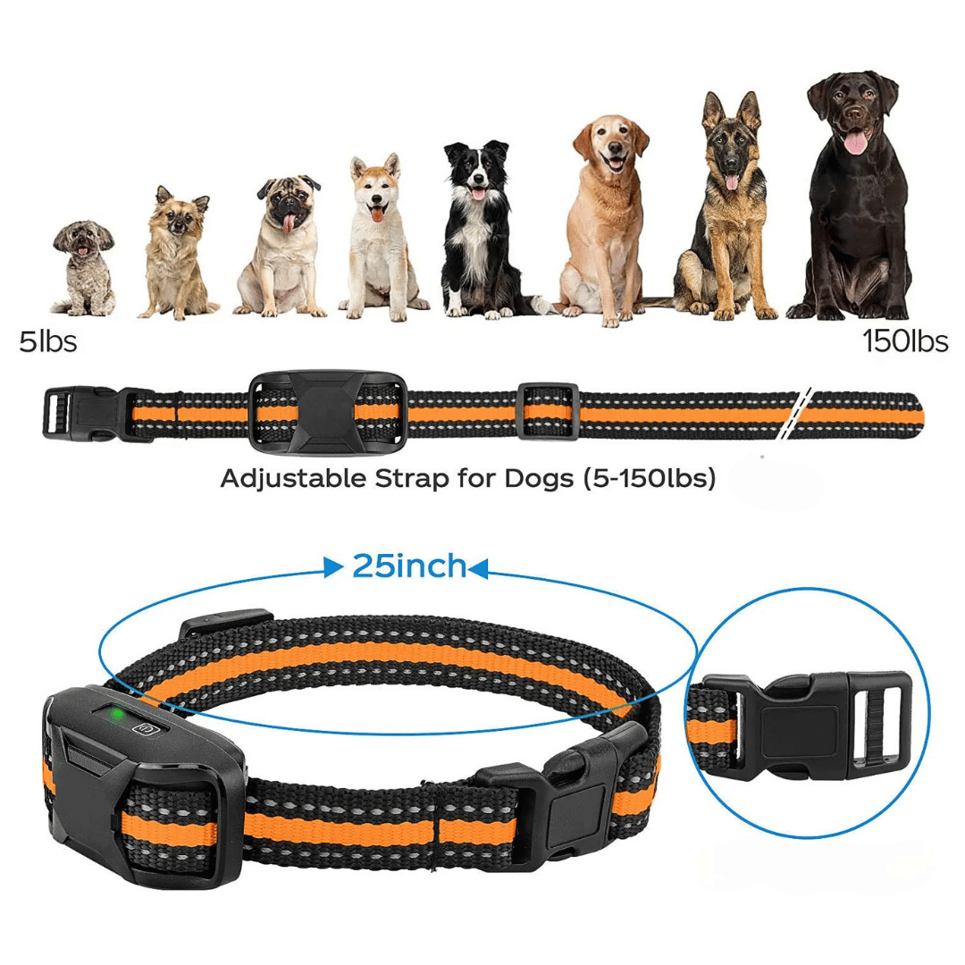 Collar E Impermeable y Recargable para Entrenamiento de Perros