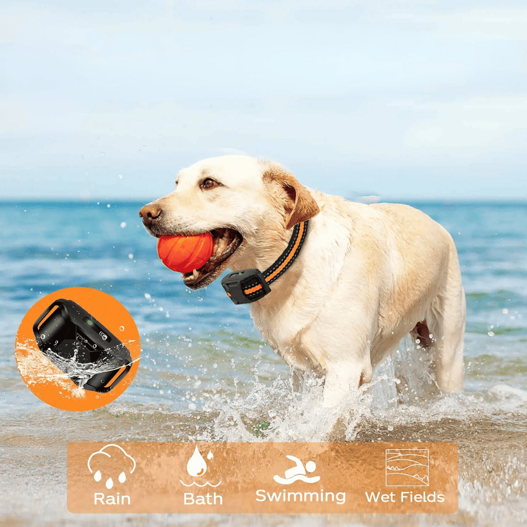 Collar E Impermeable y Recargable para Entrenamiento de Perros
