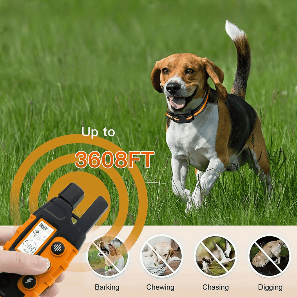 Collar E Impermeable y Recargable para Entrenamiento de Perros