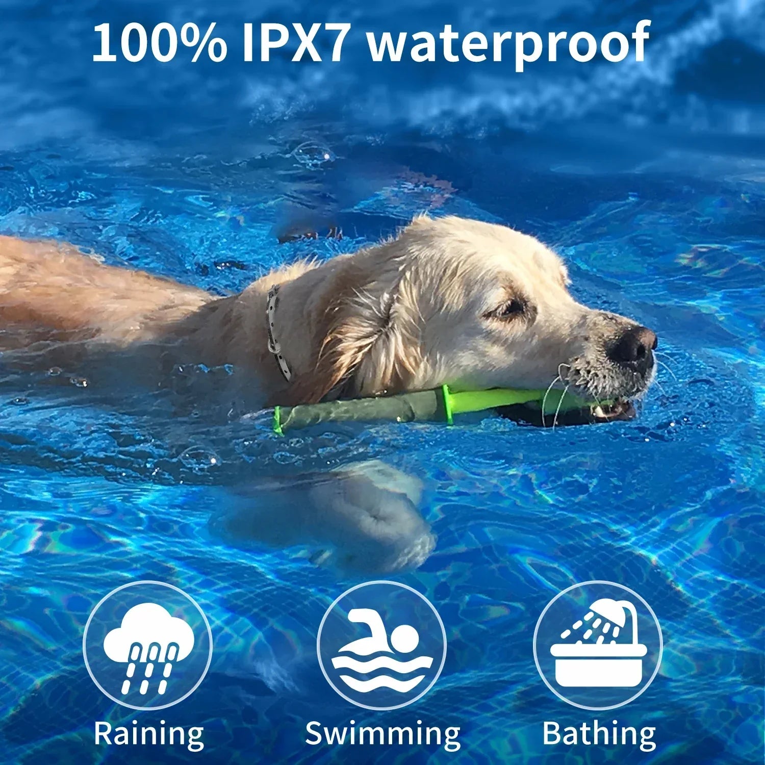 Collar de Entrenamiento Remoto a Prueba de Agua para Perros con Choque y Beep