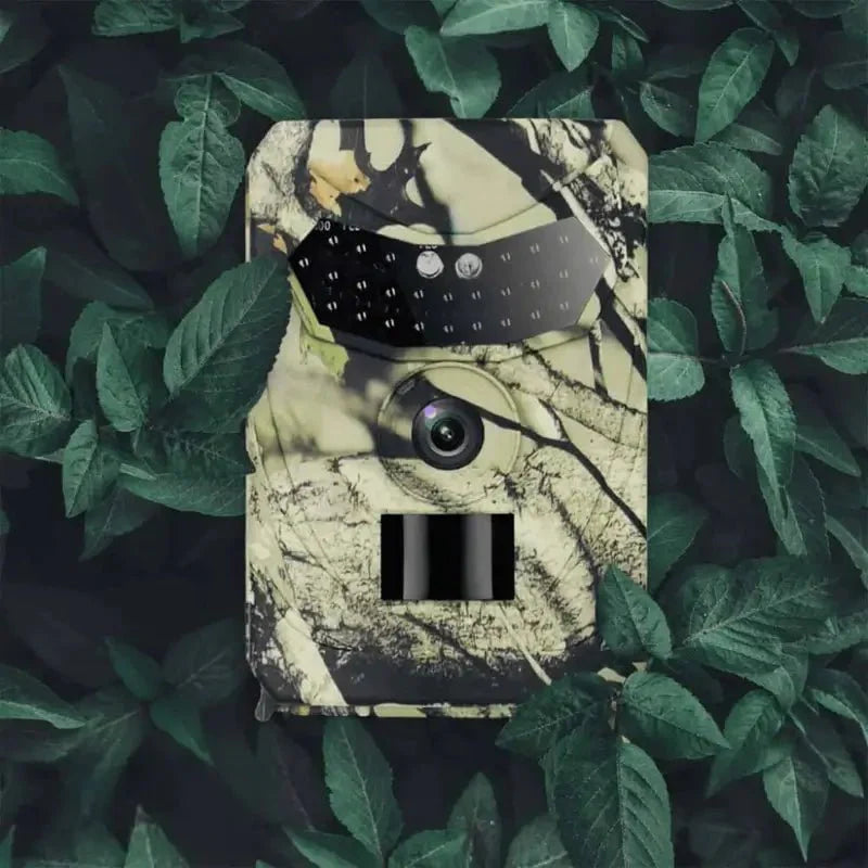 Explorador Wild Eye