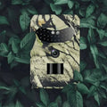 Explorador Wild Eye
