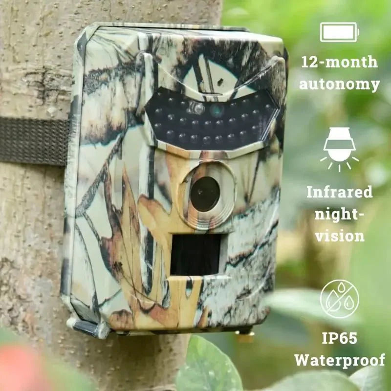 Explorador Wild Eye
