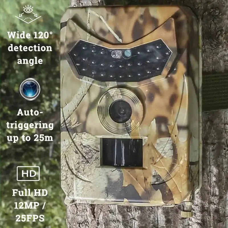 Explorador Wild Eye