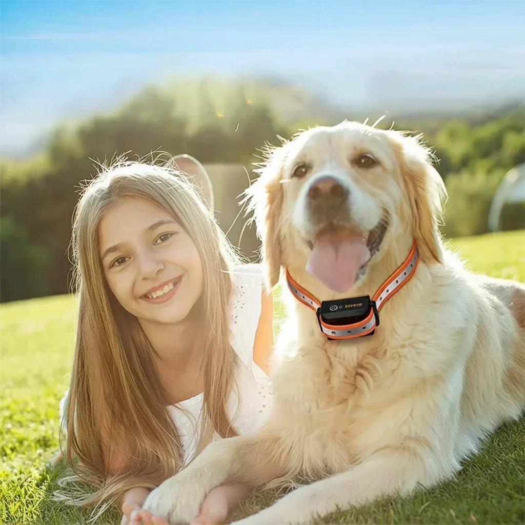 Collar de Entrenamiento para Perros con Alcance de 1000m – Negro y Naranja